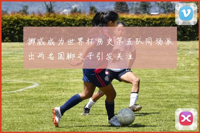 挪威成为世界杯历史第五队同场派出两名国脚之子引发关注